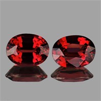 Natural Red Garnet Pair (Flawless-VVS1)