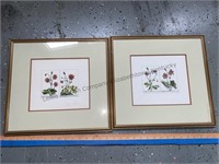 Framed and matted floral prints