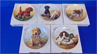 Puppy Dog Collector Plates Set Of Five Canine