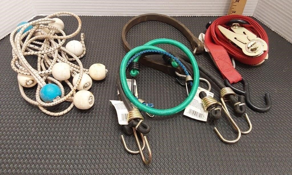Assorted straps/bungee cords. 1 ratchet strap, 4