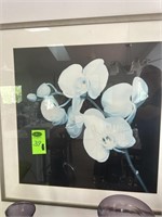 33" x 33" Framed Orchid Pitcher