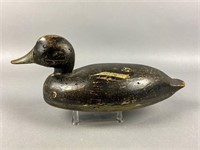 Bluebill Drake Duck Decoy Attributed to Will