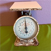 Antique Prudential Family Scale