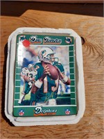 Bradford Exchange Dan Marino plate #3