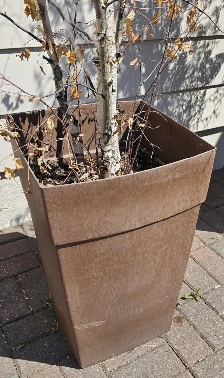 Plastic planter must take all no dumping the dirt