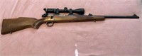 Winchester Mod. 670, .243, Cabelas 3-12x40 Scope