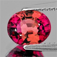 Natural Intense Pink Tourmaline 8x7 MM {VVS}