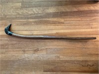 Carved Loon Head Wooden Cane