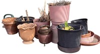 Assorted Pots and Planters