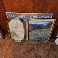 Pictures - largest Is approx 30"  x 24 (puzzle