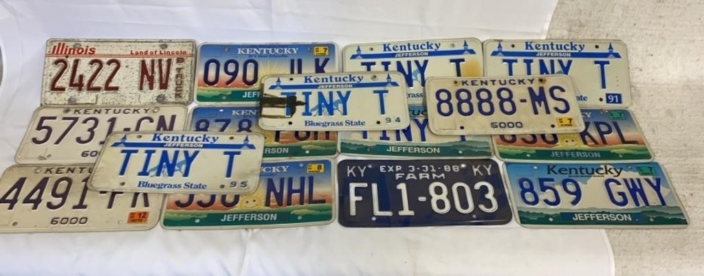 15 KY License Plates