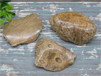 PETOSKEY FOSSILIZED CORAL ROCK STONE LAPIDARY SPEC