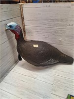 Turkey Decoy