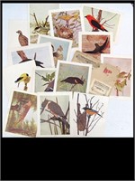 1900 PERRY PICTURES  - BIRDS IN ORIGINAL PACKAGE