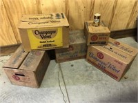 LOT OF (5) CASES/BOXES OF CHAMPAGNE VELVET BEER