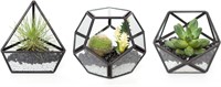 Mkono 4 Inches Mini Glass Geometric Terrarium Cont
