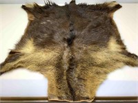 Small Taxidermy Bear Hide Rug - approx. 3x3ft