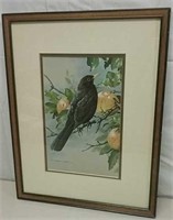 Bird On Fruit Tree Print 15x19"