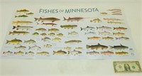 New Poster of Minnesota Fish