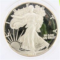 Coin 1987 Proof American Silver Eagle