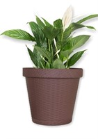 Plastic rattan like finish planter pot and tray