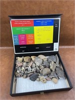 Selection of Fossil Rocks, Pieces of Arrow