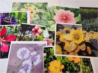 Huge Lot Of 30+ Floral Photography Pictures