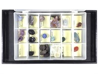 Case w Mineral Specimens