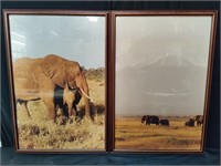 Pair of photo prints of Africa on archival paper