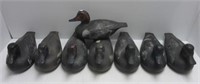 (10) Plastic duck decoys.