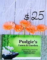 $25 Pudgie's Gift Card # 2