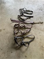 Leather Halters and Lead Shank