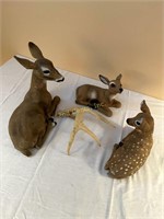 Deer Statues And Antlers.