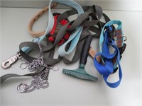 Lot of DOG leashes and Collars
