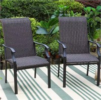 Set of 2, Steel Rattan Patio Dining Chair