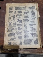 Vintage Animal Book