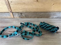 Halter and lead rope