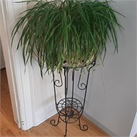 Metal Plant Stand and Planter with Fern