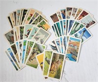 Red Roes Tea Cards - Various (52x)