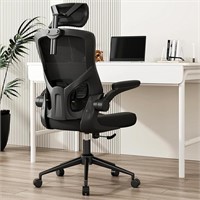 Drgrapa Ergonomic Mesh Desk Chair, High Back