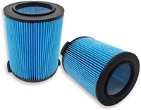PUREBURG 2-Pack Pleated Filter