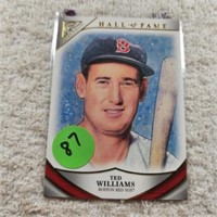 2019 Gallery Hall of Fame Ted Williams