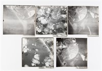 5 AMERICAN WWII RECONNAISSANCE PHOTOGRAPHS OF PEEN