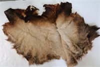 (2) ELK Fur Hide Pieces
