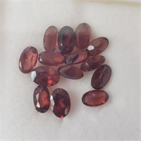 $200  Garnet(4ct)