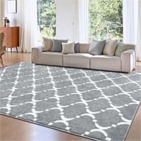 Soft Shag Grey 4x6 Rug, Washable