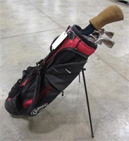 Misc. Golf Clubs w/ Bag