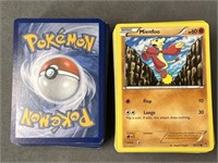 2016 Pokemon Cards