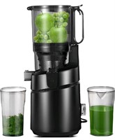 AMZCHEF 250W Automatic Slow Juicer Free Your Hands