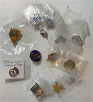 1 Lot of 12 Uni9on Collector Pins American Flag